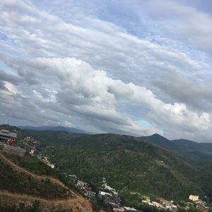 Meet your Posher, Tanner